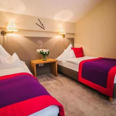 Hotel Dr Otto Murr 4*