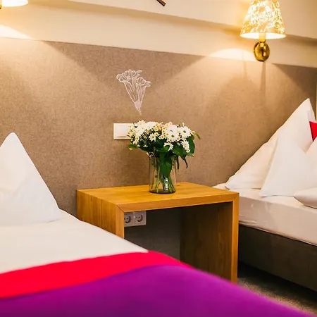 Hotel Dr. Otto Murr 4*